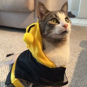 Meet your Posher, Kayak